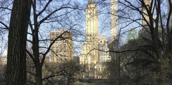 Sin autos en el Central Park de Nueva York