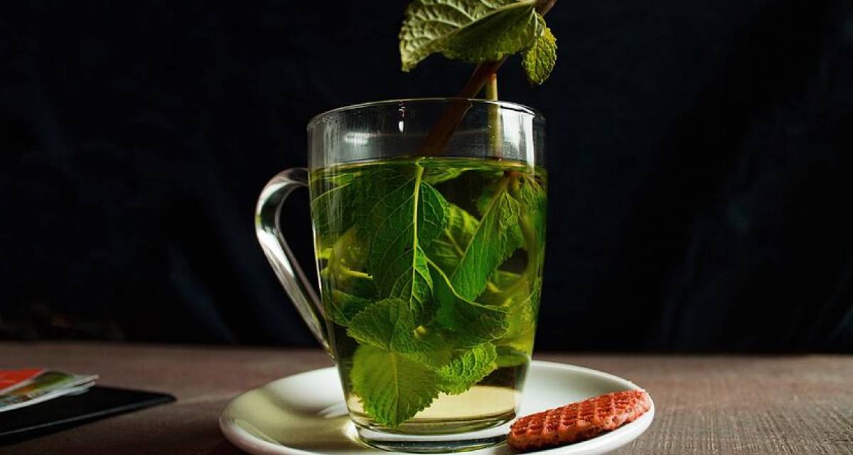 Salud y bienestar: tés e infusiones caseras que transforman la digestión