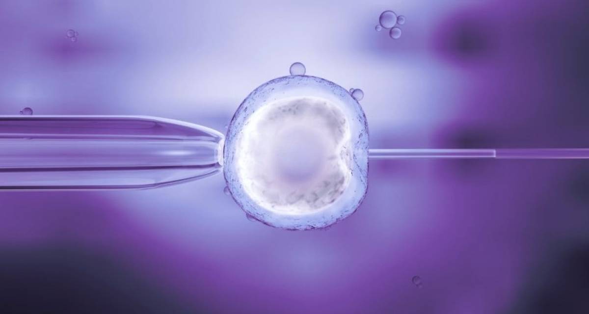 CRISPR en humanos: el poder de editar la vida y sus límites éticos