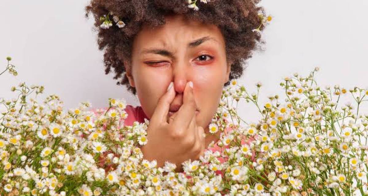 Salud y bienestar: Alergias primaverales vs. cuadros virales: la guía definitiva para no confundir los síntomas