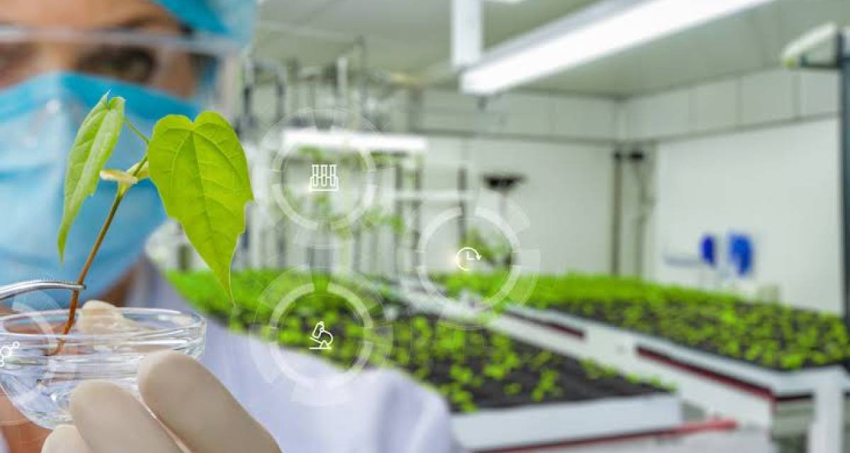 Bioinsumos: el mercado que crece entre los productores argentinos