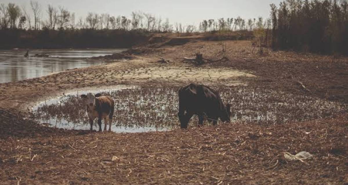 La crisis del agua en Argentina: las provincias que ya enfrentan estrés hídrico