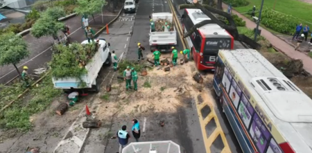 Accidente entre dos colectivos en Barrancas de Belgrano: hay tres heridos