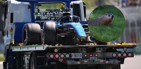 F1: una ONG apuntó contra la FIA y solicitó medidas para evitar los accidentes con las marmotas en Canadá