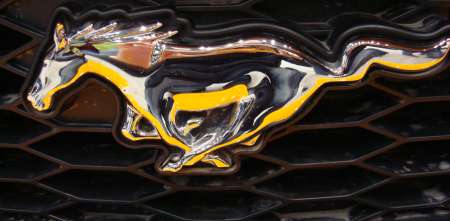 Mustang, el pony que aún cabalga con fuerza