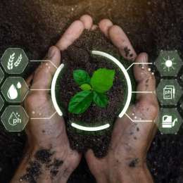 Agricultura 4.0: robots que cosechan, siembran y monitorean cultivos