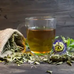 Salud y bienestar: redescubriendo el poder curativo y preventivo de los tés medicinales