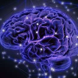 Neurociencia y comportamiento digital: qué pasa en el cerebro cuando vivimos hiperconectados