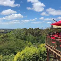 Atractivos poco conocidos de Mar del Plata para descubrir en tu próxima visita