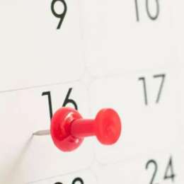 ¿Es feriado el próximo 24 de noviembre?