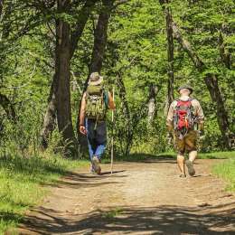 Salud y bienestar: por qué 30 minutos de caminata diaria pueden transformar su vida