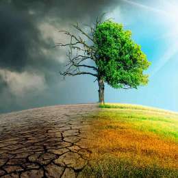 Modelos climáticos hiperlocales: el cambio climático visto a escala de barrio