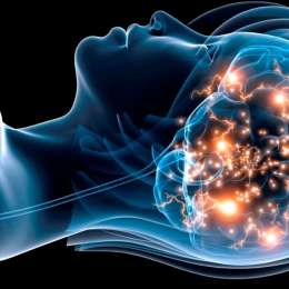 La nueva frontera del descanso: algoritmos que leen el sueño y prometen mejorar la memoria