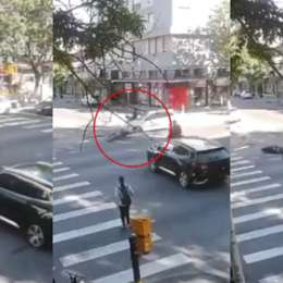 Un conductor venía mirando el celular y chocó contra un motociclista por cruzar el semáforo en rojo en Mar Del Plata
