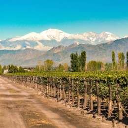 Clima en Mendoza: el pronóstico del tiempo para este martes 6 de enero de 2026
