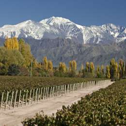 Clima en Mendoza: cómo estará el tiempo este martes 13 de enero de 2026 según el Servicio Meteorológico Nacional