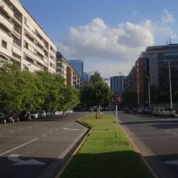 ¡Insólito! La loma de burro en Puerto Madero que causa estragos entre los conductores