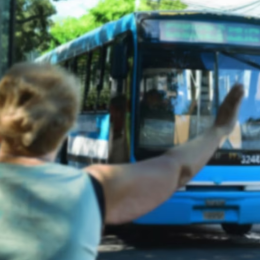 Se cayó en un colectivo y ganó el juicio después de once años