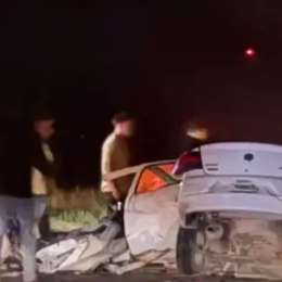 Un hombre intentó esquivar dos carpinchos en la Ruta 3 y murió