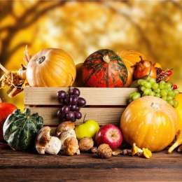 Salud y bienestar: ¿Cómo adaptar tu dieta para recibir al otoño con energía?