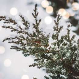 Salud y bienestar: guía definitiva para ganarle a la ola de polar sin quedar en el camino