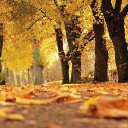 Salud y bienestar: ¿Cómo configurar "el set-up" entre el adiós del invierno y la llegada del otoño?