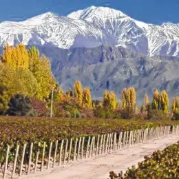 Clima en Mendoza hoy: cómo estará el tiempo este martes 3 de marzo de 2026 según el SMN