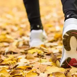 Salud y bienestar: por qué el otoño es la mejor temporada para abandonar el sedentarismo