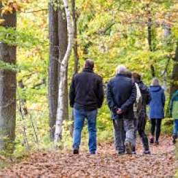 Salud y bienestar: cómo el cambio de luz otoñal altera nuestro descanso y productividad