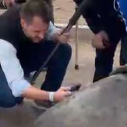 TC: así inspeccionaban el auto de Lugón tras el desprendimiento del neumático en Neuquén