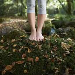 Salud y bienestar: el antídoto de 20 minutos que la ciencia receta contra el estrés urbano