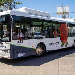 ¿Qué nueva medida revolucionará el uso energético de los colectivos en Argentina?