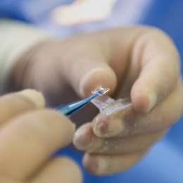 Salud y bienestar: cómo la IA está detectando enfermedades años antes de que aparezcan los síntomas