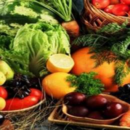 Salud y bienestar: por qué las verduras son el pilar insustituible de una vida equilibrada