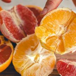 Salud y bienestar: qué comer para mantener la energía alta en el inicio del otoño