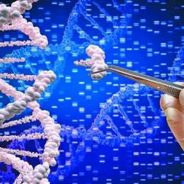 Edición genética: ¿hasta dónde puede llegar la humanidad al modificar el ADN?