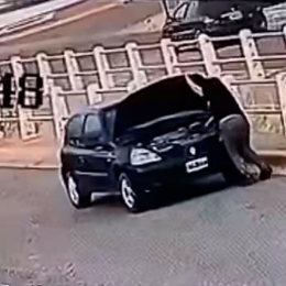Comodoro Rivadavia: fue atropellada por su propio auto mientras revisaba la batería