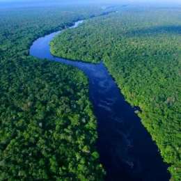 Amazonia bajo vigilancia satelital: la tecnología que monitorea incendios y deforestación en tiempo real