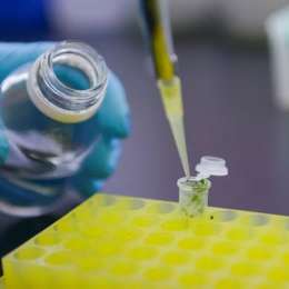 Las startups argentinas de biotecnología que buscan competir globalmente