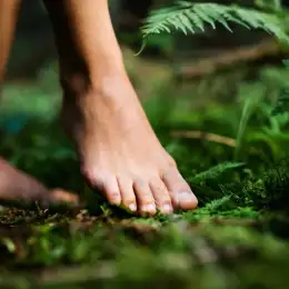Salud y bienestar: por qué volver a conectar descalzos con la tierra transforma la salud