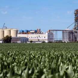 Biometano: el nuevo negocio sustentable que comienza a crecer en el agro argentino