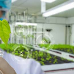 Bioinsumos: el mercado que crece entre los productores argentinos