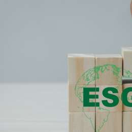 ESG en Argentina: qué indicadores siguen hoy los inversores