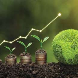 El auge de los bonos verdes y el financiamiento sostenible en Argentina