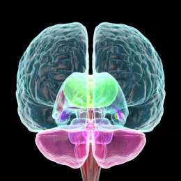 Salud y bienestar: el impacto de la respiración funcional: el control neurofisiológico en momentos límite
