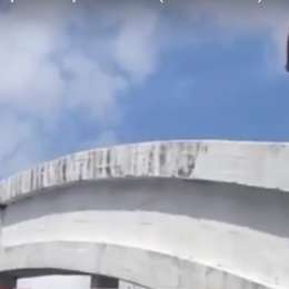 Cada Di Palma con su tema