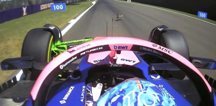 F1: el insólito incidente de Gasly durante la FP1 en Imola: arrollo a un conejo