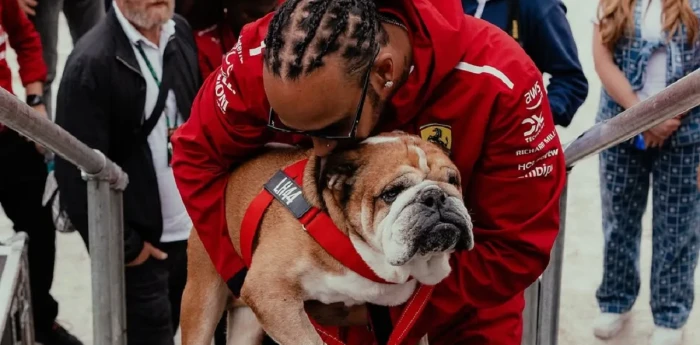Murió Roscoe, el perro de Lewis Hamilton: "Tuve que tomar la decisión más difícil de mi vida"