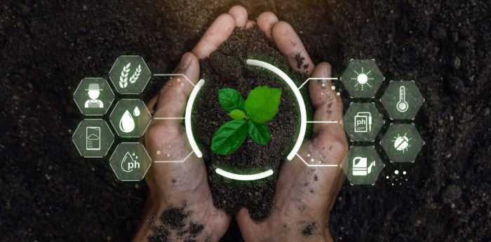 Agricultura 4.0: robots que cosechan, siembran y monitorean cultivos