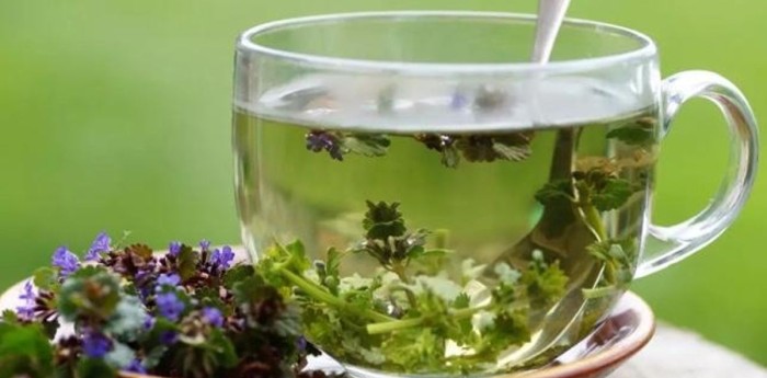 Salud y bienestar: el poder ancestral del té para conciliar el sueño